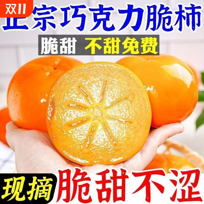 正宗山西阳丰巧克力脆柿