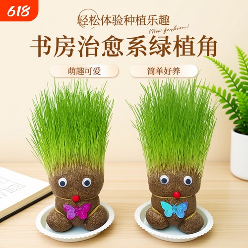 趣味长草娃娃小盆栽简单好养