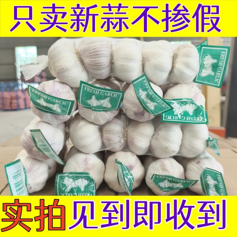精品大蒜2025农家网兜装新干蒜大蒜头紫白皮新干蒜多瓣蒜新鲜蔬菜