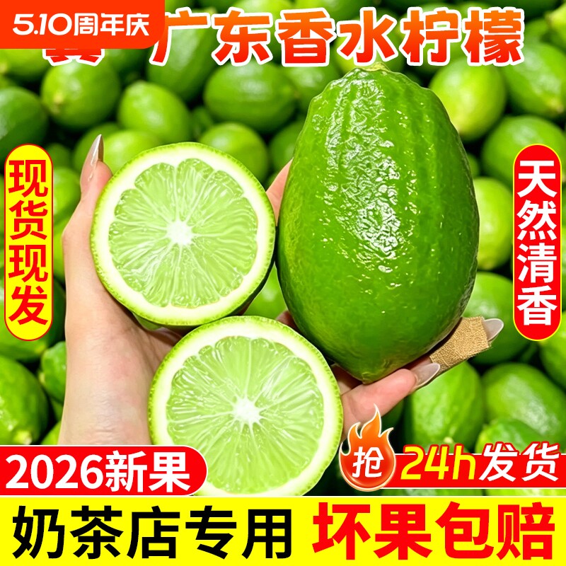 广东香水柠檬应当季水果新鲜一级无籽青柠檬奶茶店专用整箱包邮