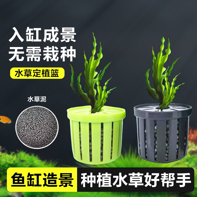 水草篮鱼缸水草定植篮沉水杯造景装饰养草杯固根器水草泥种植转角