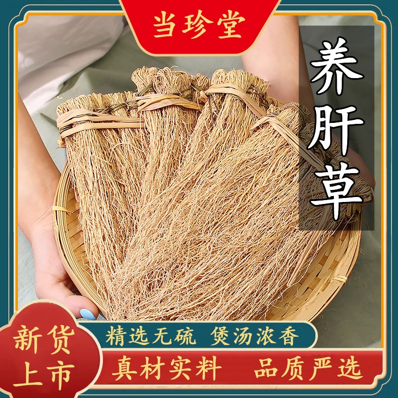 正宗养肝草野生龙须草全根丝线根煲汤料护肝草新货无硫开胃草
