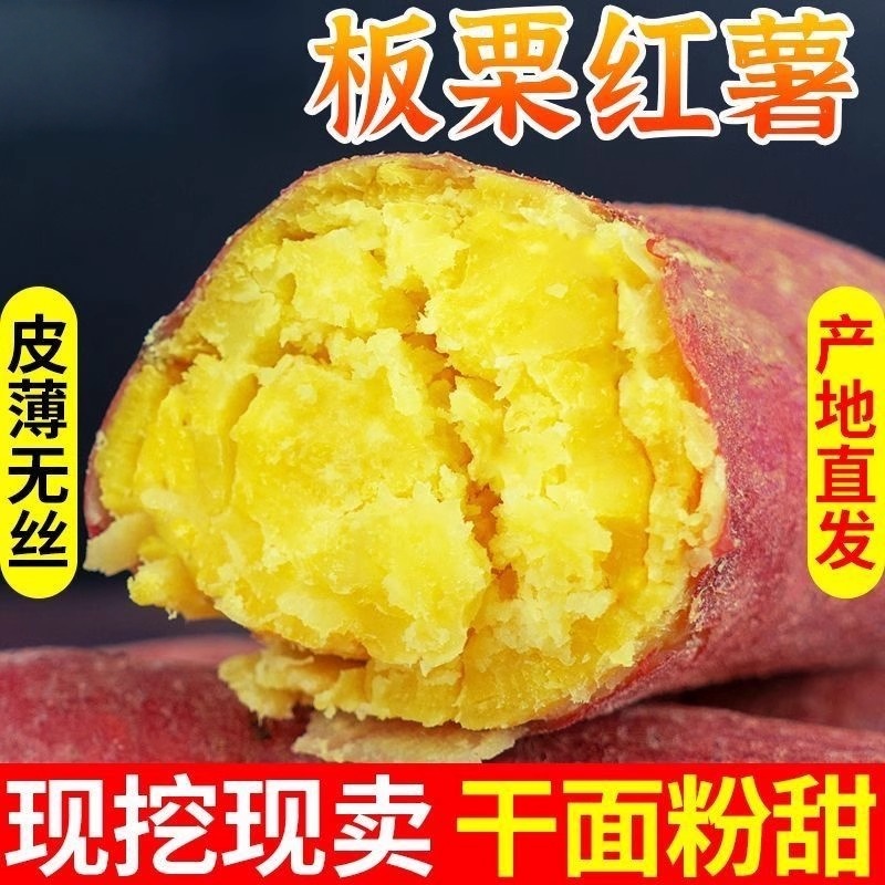 蜜薯新鲜红薯3/5/9斤农家香甜薯板栗黄心烤地瓜糖心小番薯山芋