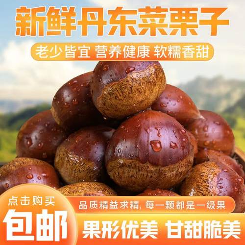 板栗生新鲜当季2025新鲜嫩新货板栗毛栗子农家板栗非锥栗栗子