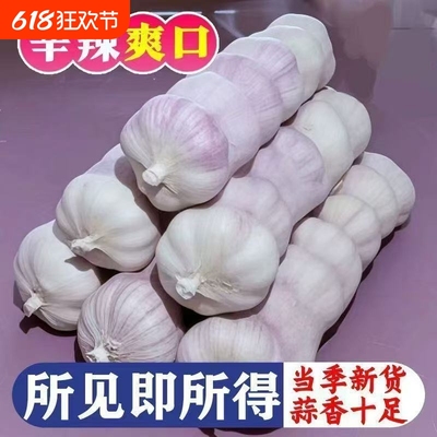 【十足干】金乡大蒜头网兜紫白皮干蒜批发红皮蒜子特级新鲜大果