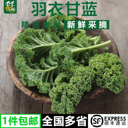 新鲜羽衣甘蓝嫩叶kale轻食蔬菜
