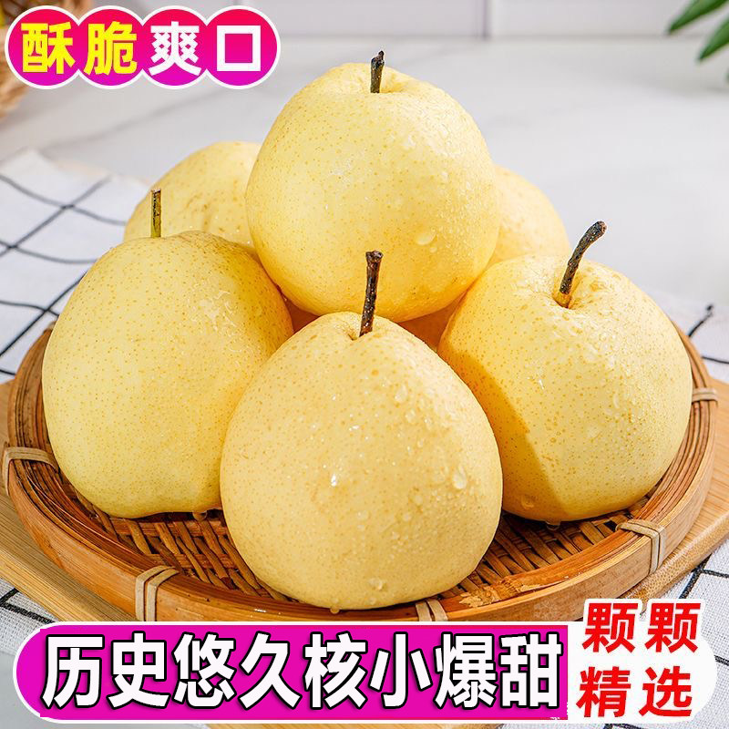 陕西乾县泔河酥梨4.5斤