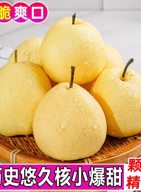 陕西乾县泔河酥梨新鲜梨子应当季酥梨一整箱梨子新鲜酥梨贡梨批发