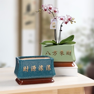 长方形送托盘陶瓷花盆大号创意家用蝴蝶兰造景兰花盆君子兰盆阳台