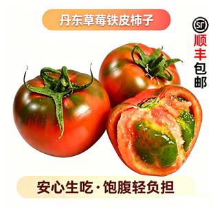 东北铁皮草莓柿子生吃水果番盐茄碱地新鲜西红柿自然熟可顺丰包邮