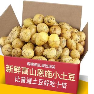 湖北恩施黄心小土豆呀新鲜现挖马铃薯洋芋粉糯香甜新鲜蔬菜