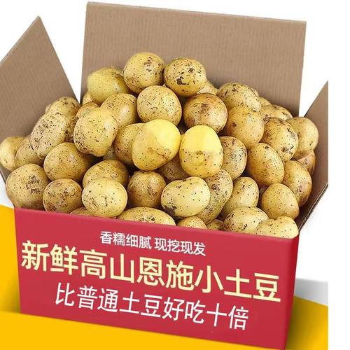 湖北恩施黄心小土豆呀新鲜现挖马铃薯洋芋粉糯香甜新鲜蔬菜