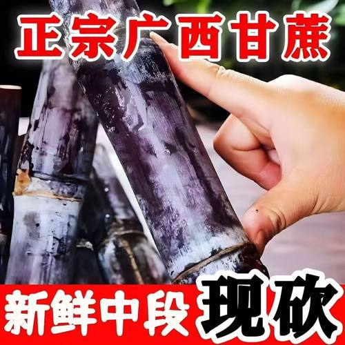 正宗广西黑皮甘蔗当季新鲜现砍脆甜榨汁杆蔗甜杆果蔗特产水果包邮