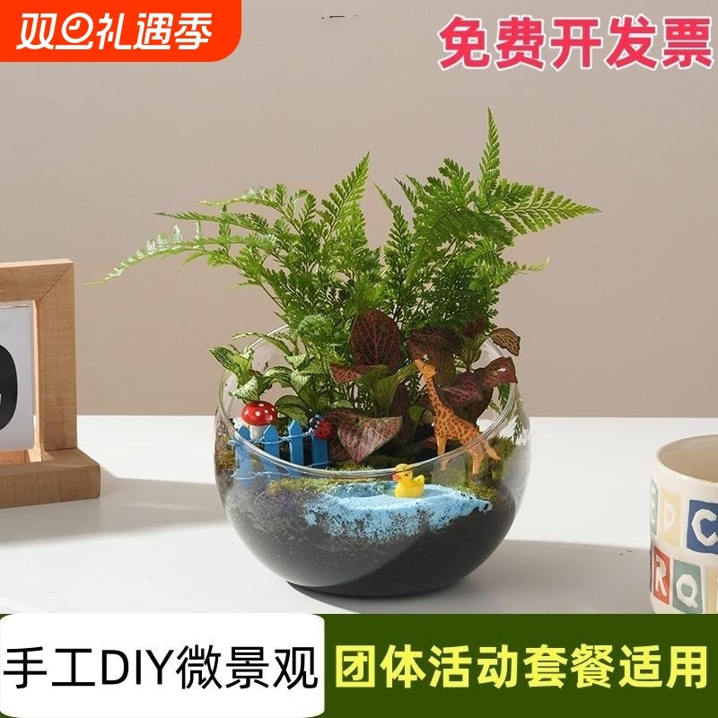 苔藓微景观diy材料包大切口瓶 创意玻璃球生态瓶子摆件礼品物套装