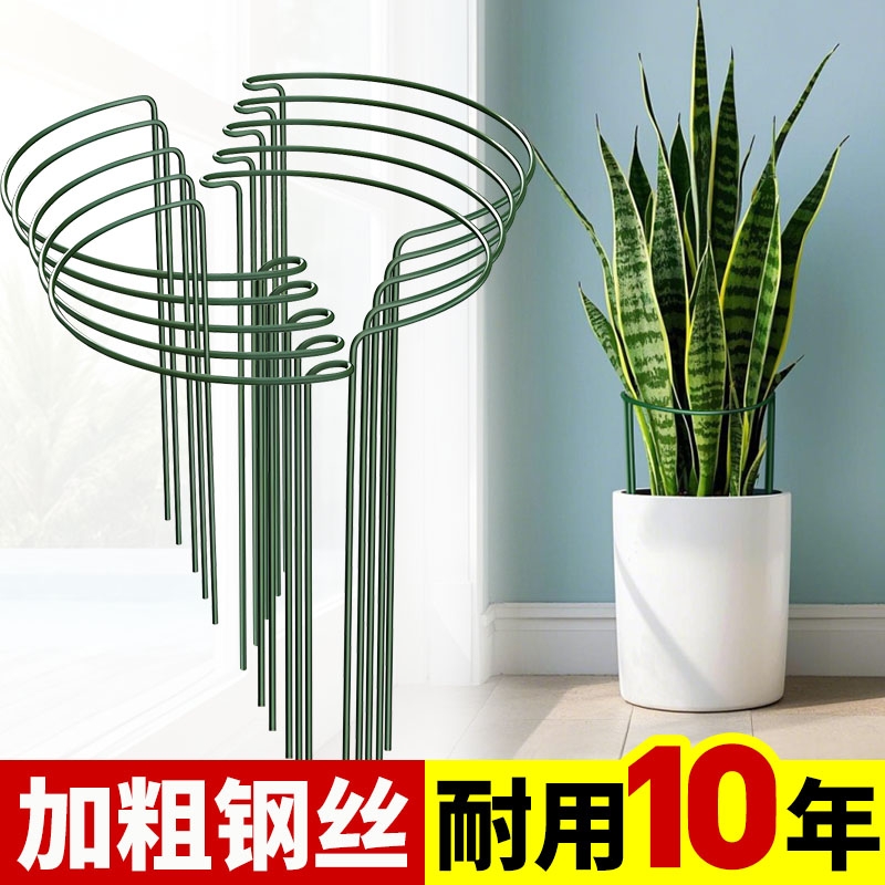 花架支撑杆防倒伏爬藤支架固定植物支撑架花架子龟背竹金钱树护花