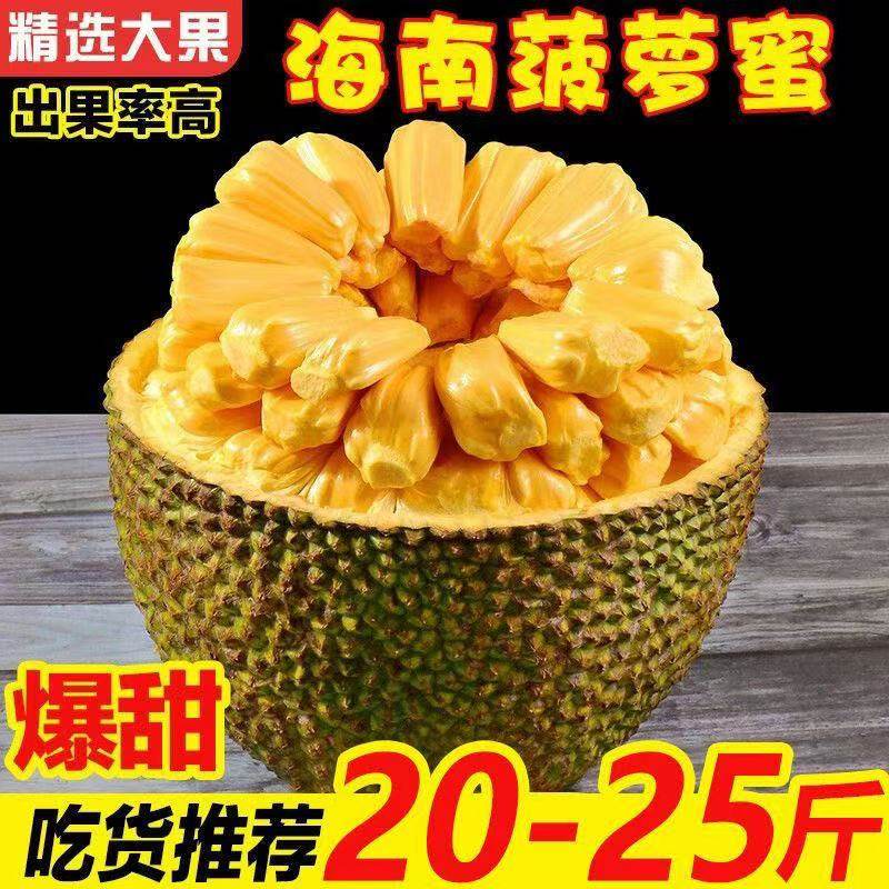 海南三亚黄肉菠萝蜜新鲜水果包邮当季现摘波罗一整个整箱当季包邮,水产肉类/新鲜蔬果/熟食,菠萝蜜,淘宝优惠券,粉丝福利购,淘宝优惠卷