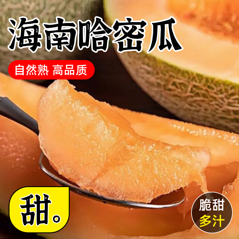 正宗海南哈密瓜脆甜9斤当季新鲜水果甜整箱包邮现摘网纹瓜西州蜜