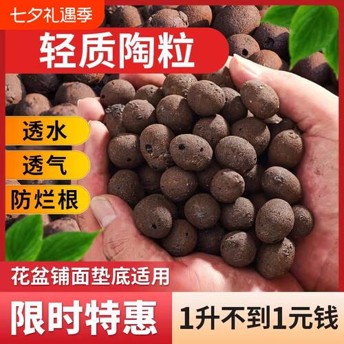 陶粒多肉营养土|回头客超4600人