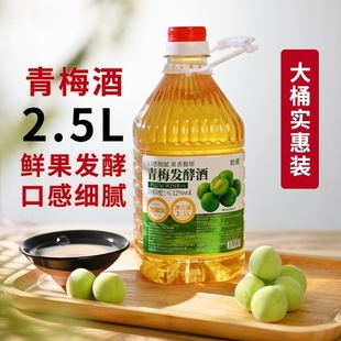 拾黛果酒青梅酒低度梅子酒自酿微醺女士甜酒酿造发酵酿酒杨梅桑葚