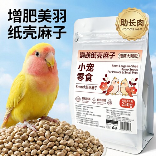鹦鹉纸壳麻子新鲜火麻仁大颗粒训鸟互动专用长肉靓羽鸟粮奖励零食