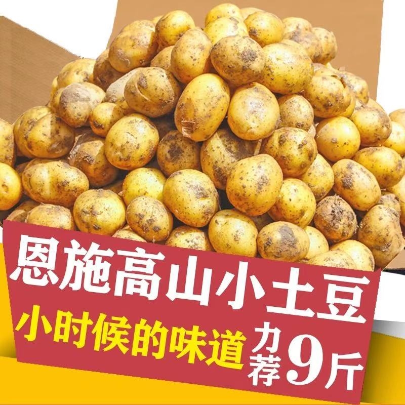高山小土豆1000g|回头客超2900人