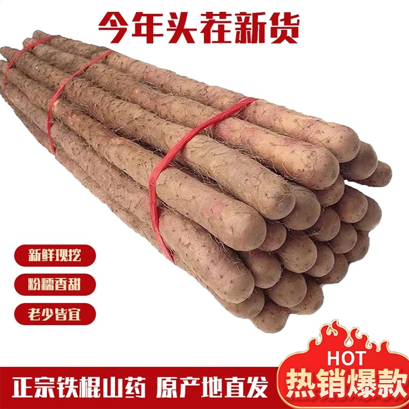 正宗铁棍山药河北小白嘴山药新鲜产地发辅食5斤包邮软糯