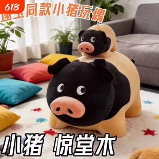 逐玉小猪玩偶张凌赫同款可爱小猪惊堂木毛绒玩具包包挂件生日礼物