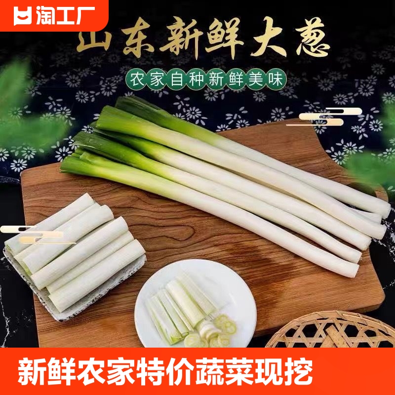 山东大葱新鲜蔬菜农家自种