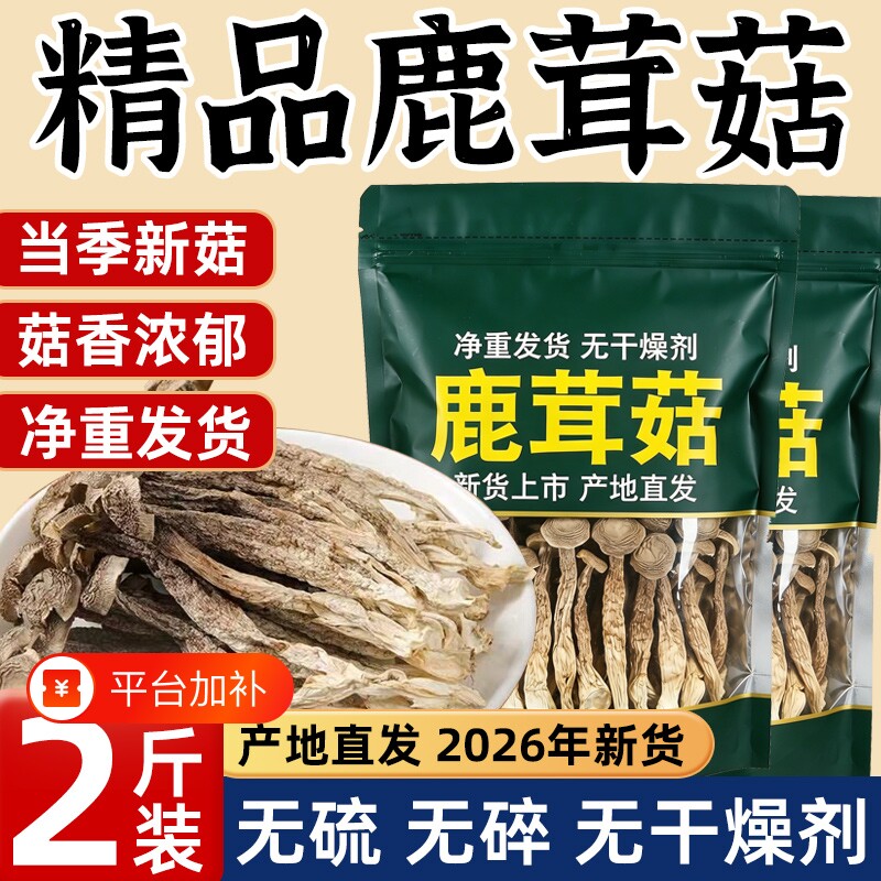 古田鹿茸菇正品官方旗舰店干货特级鹿茸菌500g批发煲汤新鲜蘑菇