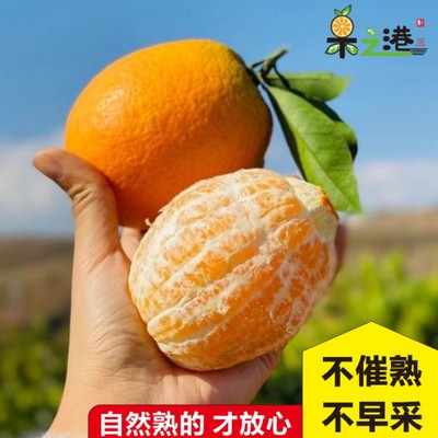 正宗湖北宜昌纽荷尔脐橙新鲜发货