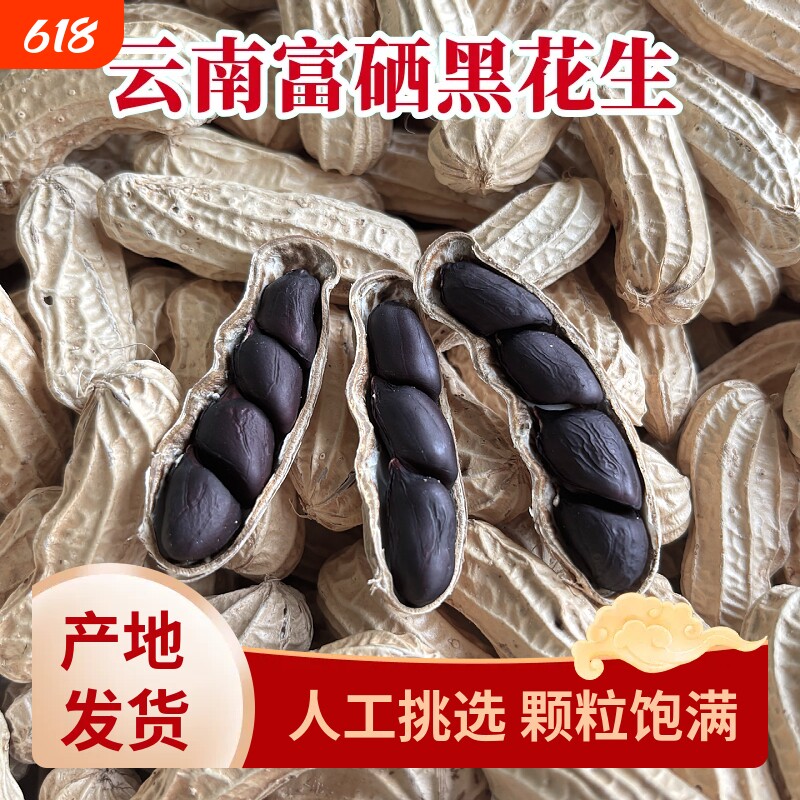 云南黑花生带壳黑皮花生农家自晒花生新货生吃紫皮花生黑花生富硒