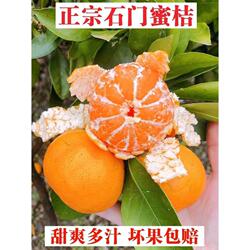 2025应季水果橘子超甜10斤蜜橘新鲜蜜桔桔子现摘石门柑橘年货节