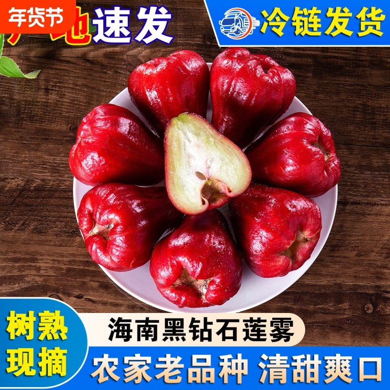 海南黑钻石莲雾新鲜莲雾果三亚特产水果红宝石脆甜爽口农家种植,水产肉类/新鲜蔬果/熟食,莲雾,淘宝优惠券,粉丝福利购,淘宝优惠卷