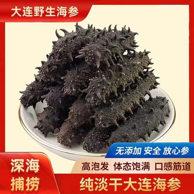淡干海参辽宁大连正宗原产地直发