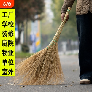 铁扫把草扫把地肤草金丝草大铁扫帚工地笤帚庭院马路室外