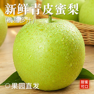 正宗砀山青皮梨皇冠梨子新鲜水果鸭梨雪梨砀山梨翠冠梨当季酥梨