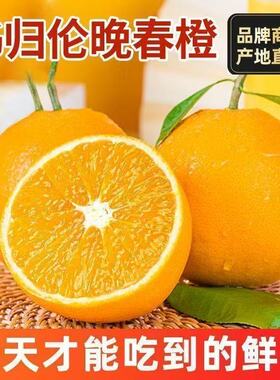 正宗无农药秭归脐橙湖北伦晚脐橙新鲜橙子大果农场孕妇手剥橙鲜果