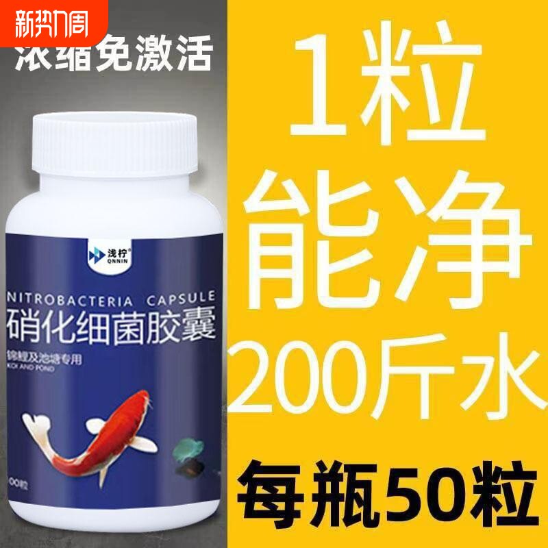 硝化细菌胶囊鱼缸净水剂水质养鱼观赏鱼用活菌分解生态硝酸浓缩