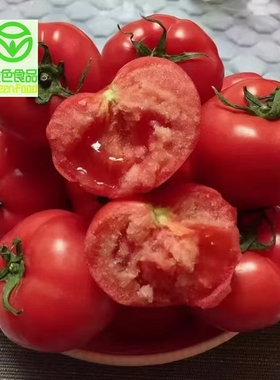 绿色蔬菜沙瓤番茄生吃西红柿新鲜沙瓤番茄自然熟绿色蔬菜粉柿子