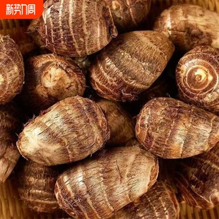 新鲜现挖牛奶毛芋头小芋头农家自种芋艿子竽头小香芋软糯香甜蔬菜