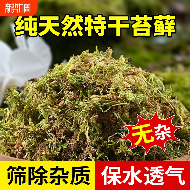 新鲜干水苔藓天然青苔兰花蝴蝶兰石斛种植专用营养土爬宠乌龟垫材