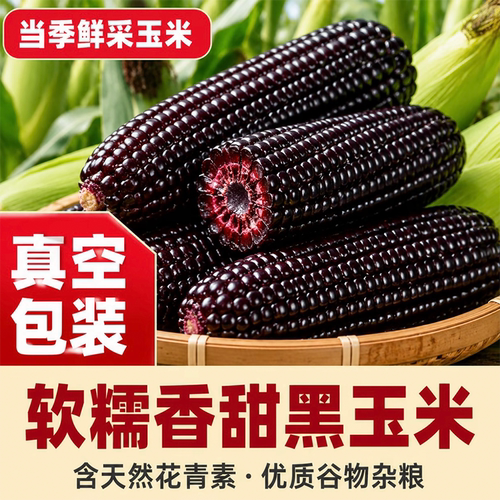 东北黑糯玉米新鲜甜玉米加热即食真空非转基因黏糯玉米健身餐早餐