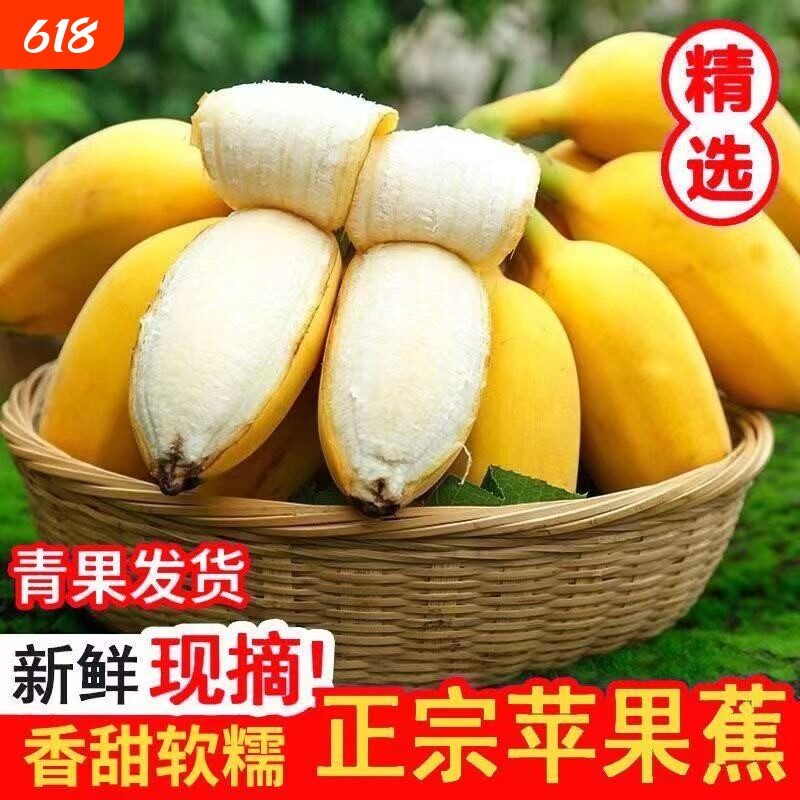 正宗广西苹果蕉产地直发现摘现发当季时令新鲜水果粉蕉自然熟