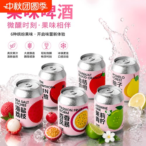 斑马精酿果味全家福12罐