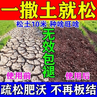 松土精土壤活化劑黑水肥料免深耕防止板結(jié)改善疏松土質(zhì)神器松土劑