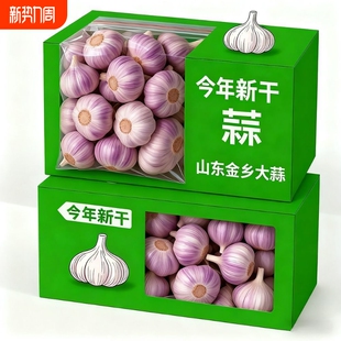 2026年金乡新干蒜大蒜头干大蒜紫皮大蒜多瓣蒜产地批发价特大果