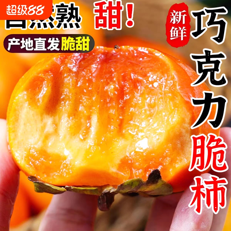 【爆卖】巧克力脆柿子阳丰脆柿鲜果脆甜新鲜水果当季冰糖心硬柿子