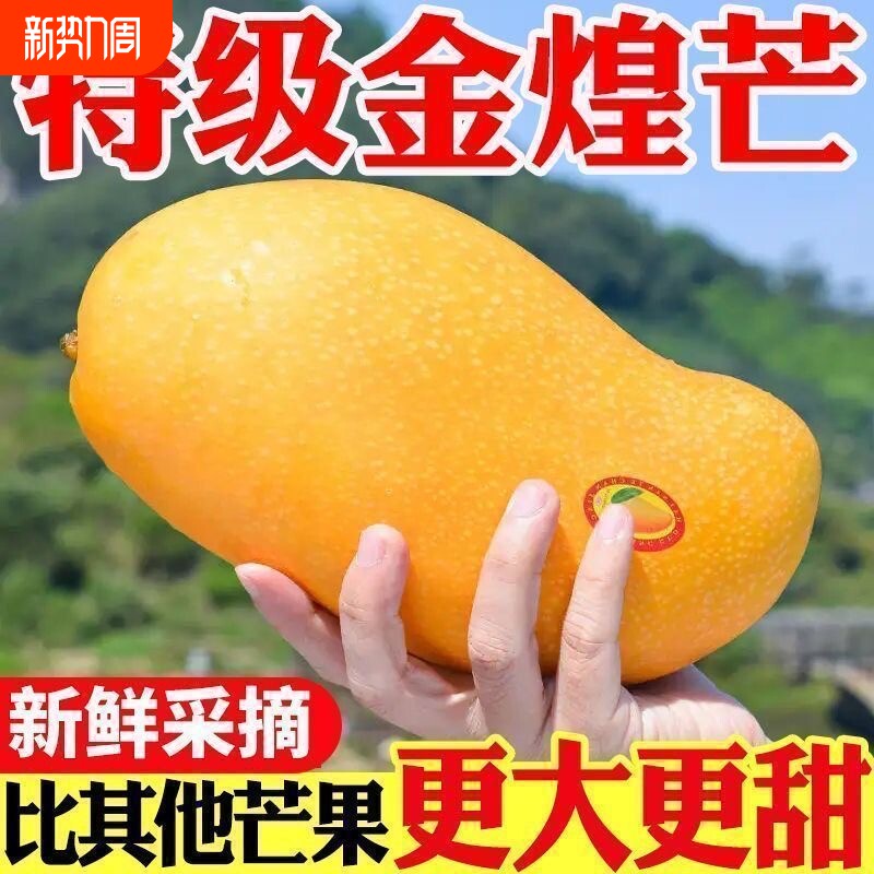 现摘海南金煌芒果一级甜心芒大果当季新鲜水果甜蜜特产包邮整箱