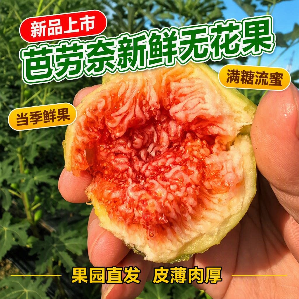 顺丰包邮新鲜无花果红皮鲜果孕妇儿童波姬红/芭劳奈水果整箱大果
