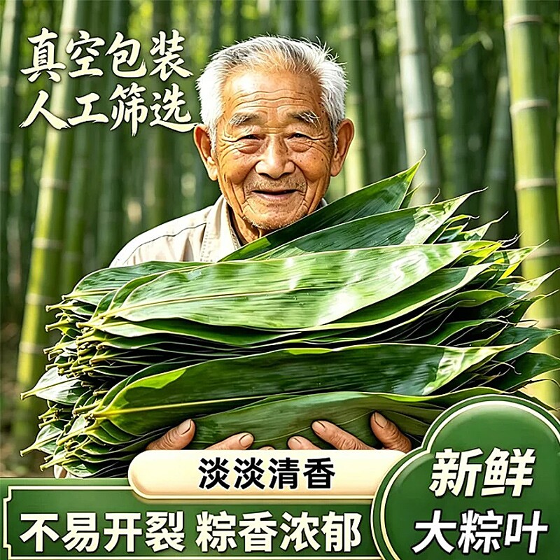 粽叶新鲜粽子叶特大号包粽子专用真空装粽叶天然野生现摘粽叶批发